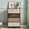 4-tier Organizer Tower Steel Frame Wooden Top Storage With 5-drawer Dresser